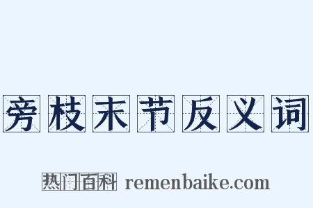 旁枝末节反义词是什么意思的图片